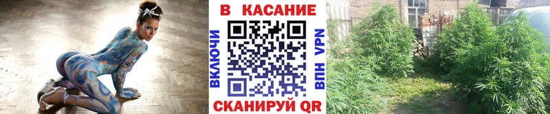 Где купить наркоту Буй hydra ССЫЛКА СОЛЬ КОКАИН Гашиш МЕФ Бошки Шишки Псилоцибиновые грибы