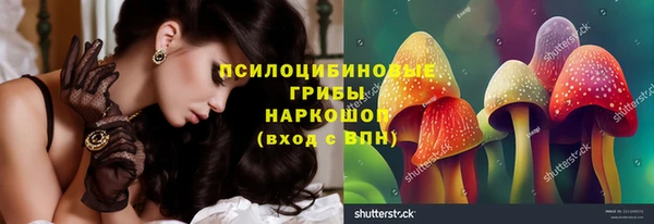 дурь Алзамай
