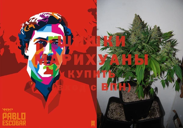 дурь Алзамай