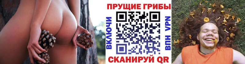 Псилоцибиновые грибы ЛСД  Буй 